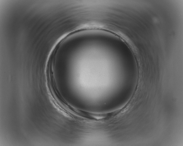 X0000066990864200603241314