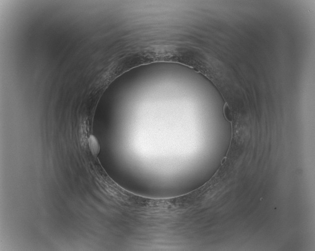 X0000066990866200603241313