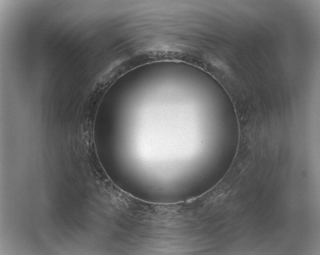 X0000066990870200603241313