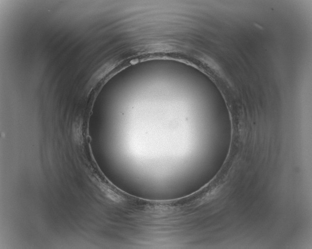 X0000066990873200603241313
