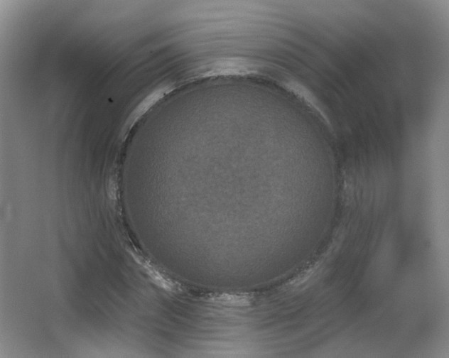 X0000066990874200603241313