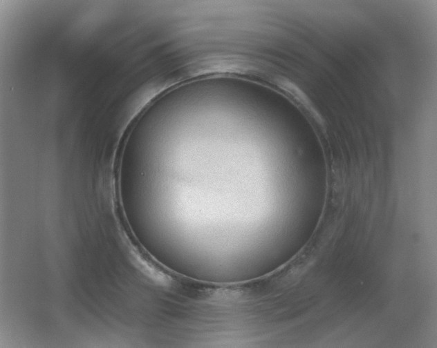 X0000066990890200603241313