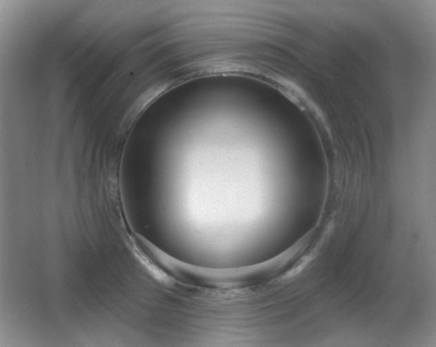 X0000066990897200603241313