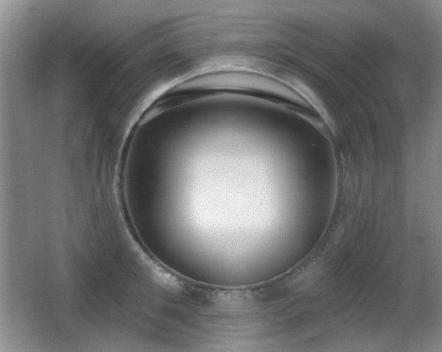 X0000066990901200603241313