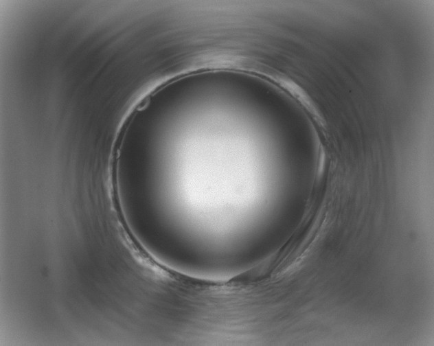 X0000066990904200603241313