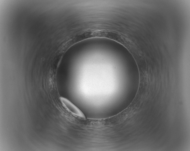 X0000066990914200603241312