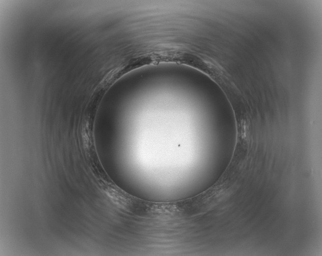 X0000066990915200603241312