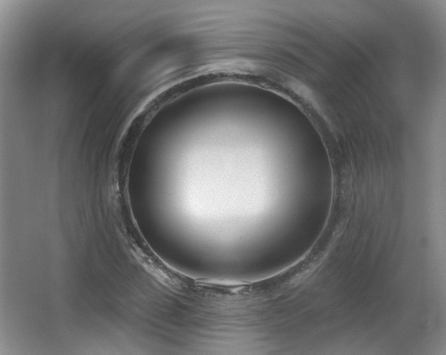 X0000066990923200603241312