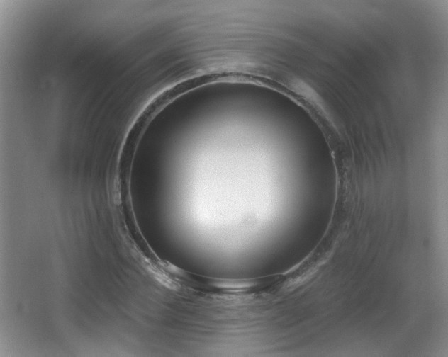 X0000066990924200603241312