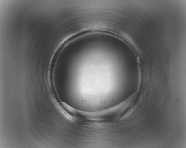 X0000066990932200603241312