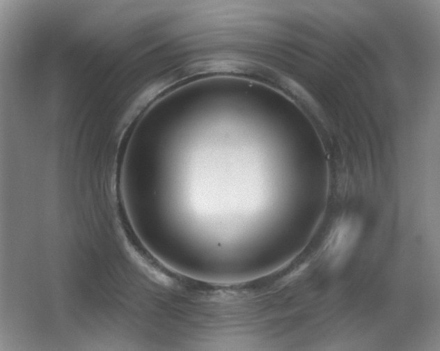 X0000066990938200603241312