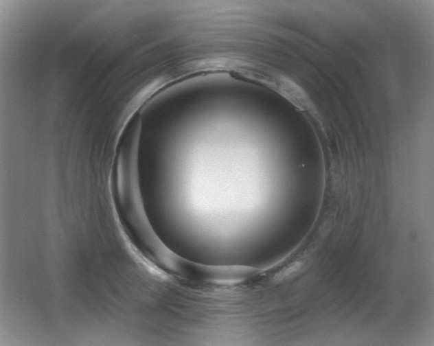 X0000066990946200603241312
