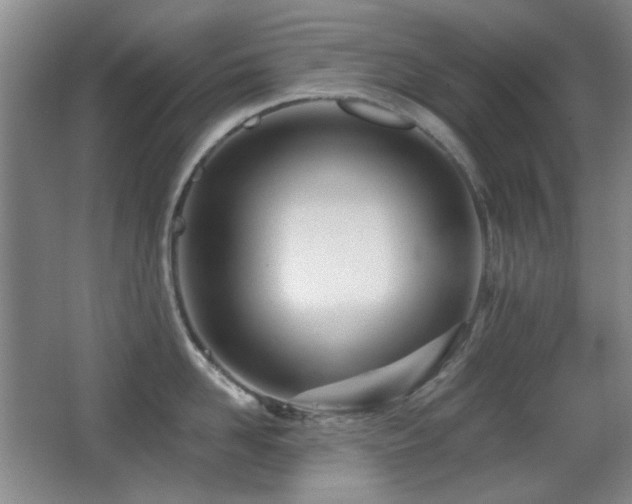 X0000066990958200603241313