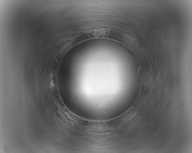 X0000066990962200603241312