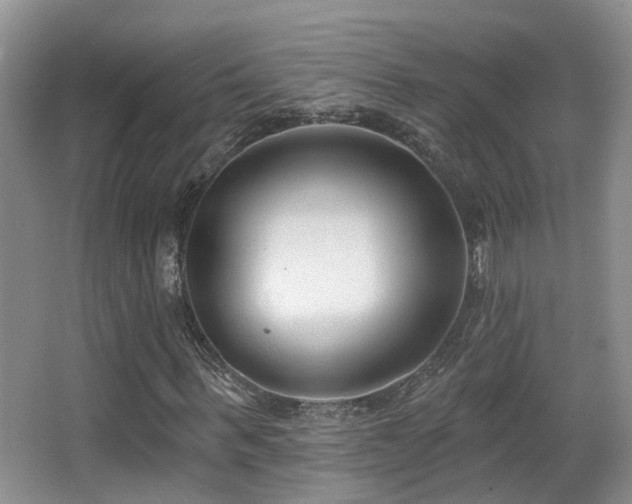 X0000066990963200603241312