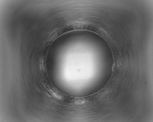 X0000066990964200603241312