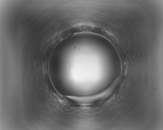 X0000066990965200603241312