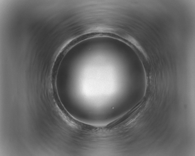 X0000066990972200603241312