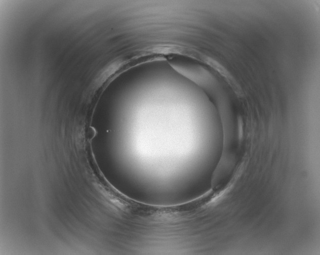 X0000066990977200603241312