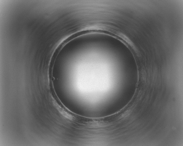 X0000066990980200603241312