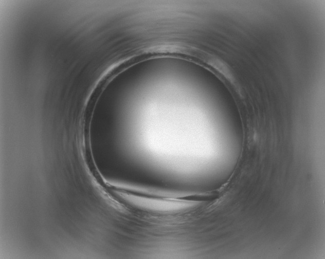X0000066990984200603241311