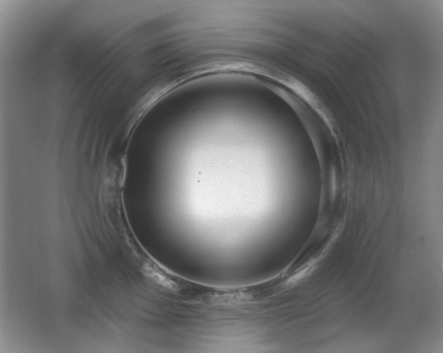 X0000066991001200603241311