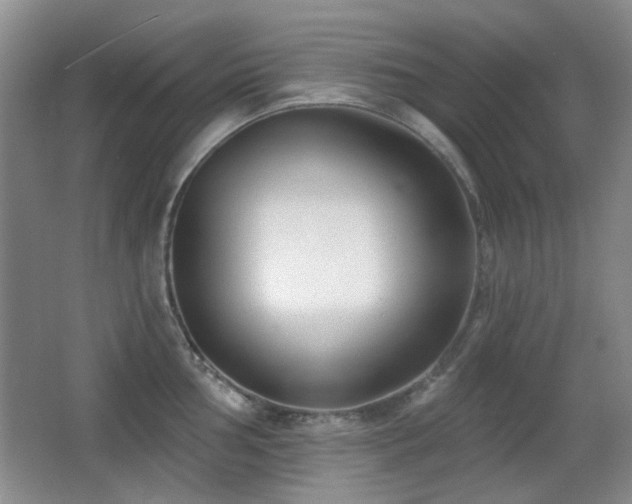 X0000066991002200603241311