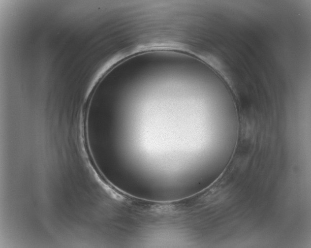 X0000066991006200603241311