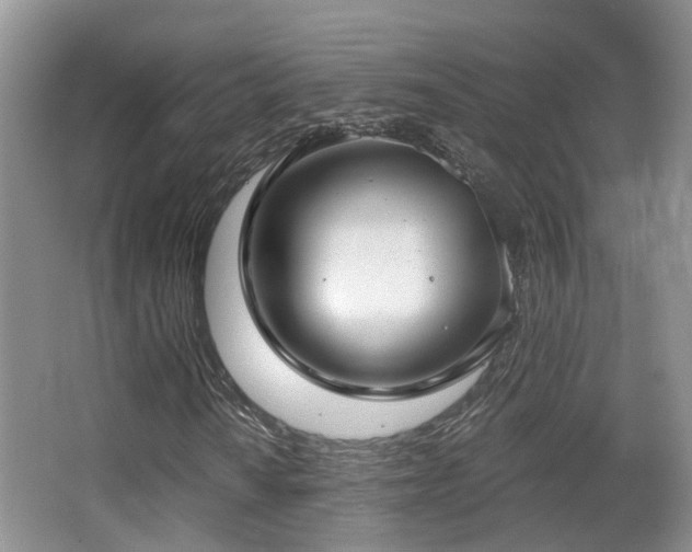 X0000066991010200603241310