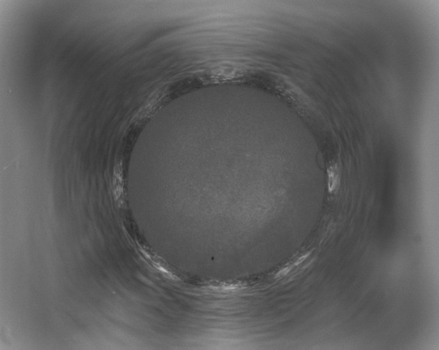 X0000066991011200603241310