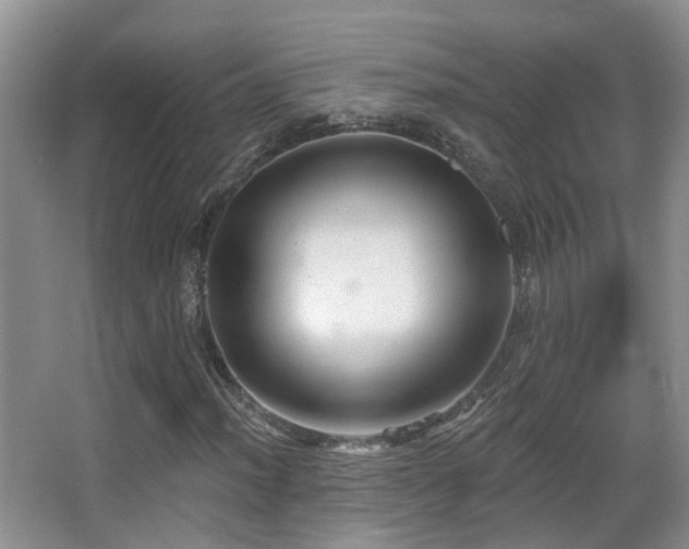 X0000066991012200603241310