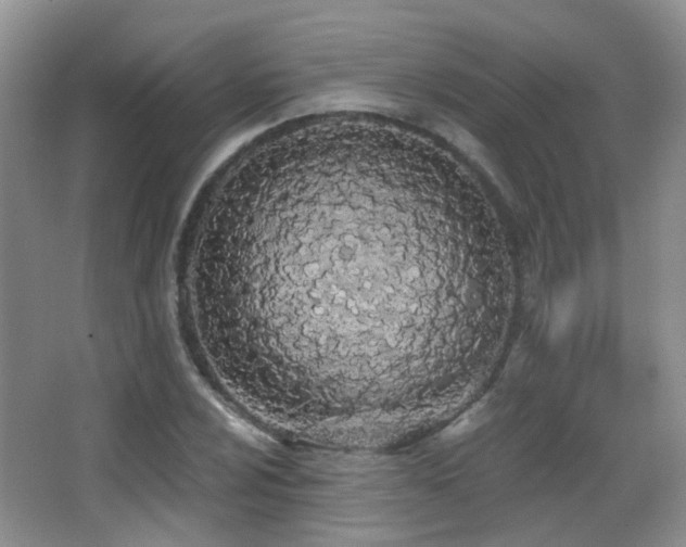X0000066991024200603241311