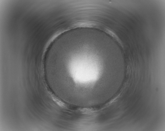 X0000066991027200603241311