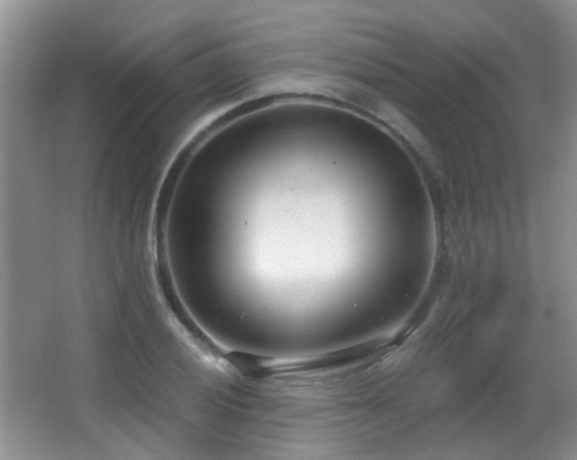 X0000066991028200603241311