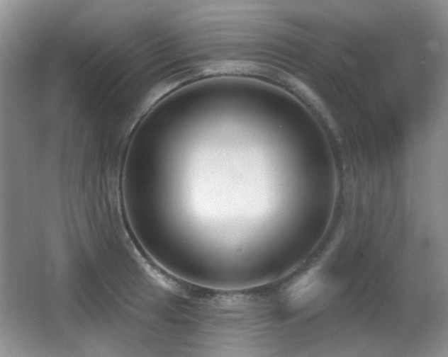 X0000066991041200603241311