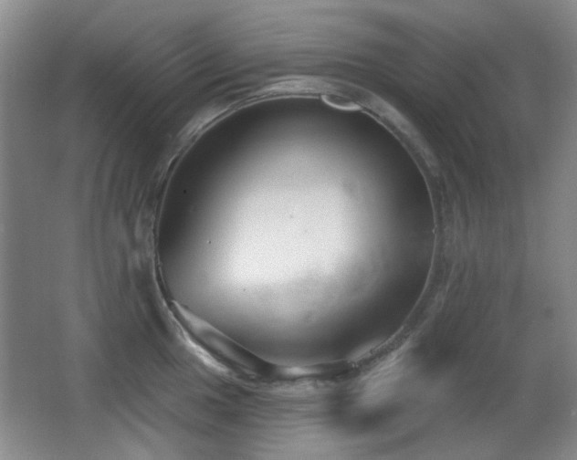 X0000066991049200603241311