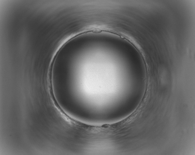 X0000066991056200603241311