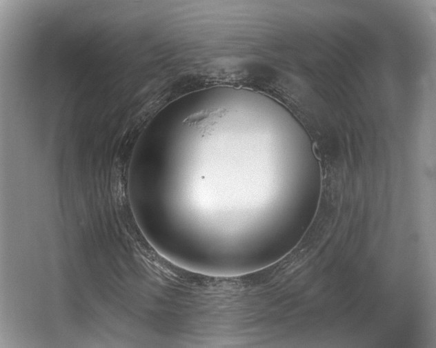 X0000066991058200603241310