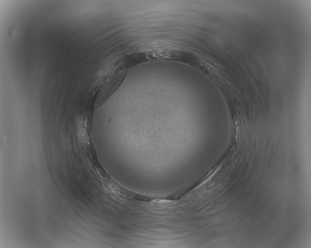 X0000066991060200603241310