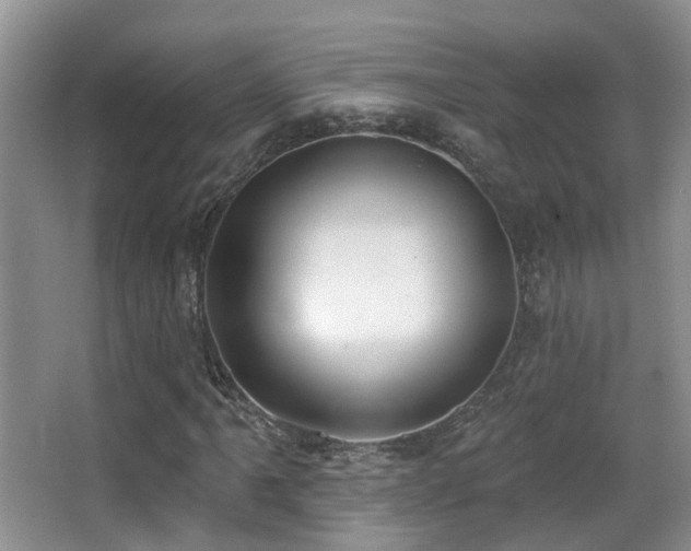 X0000066991061200603241310