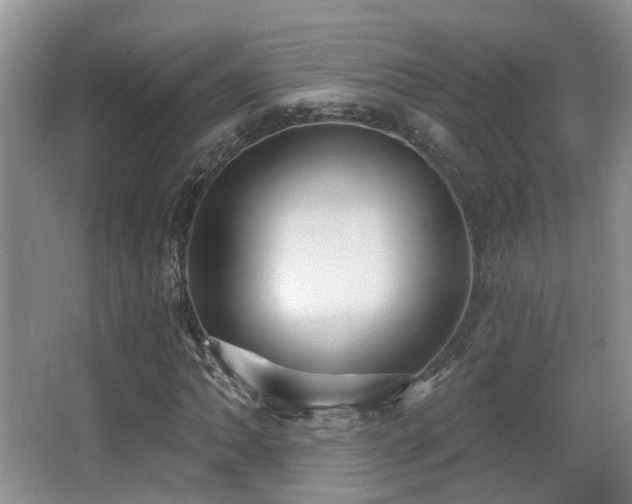 X0000066991062200603241310