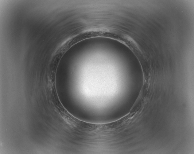 X0000066991064200603241310