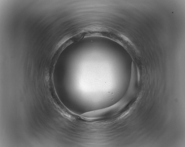 X0000066991065200603241310