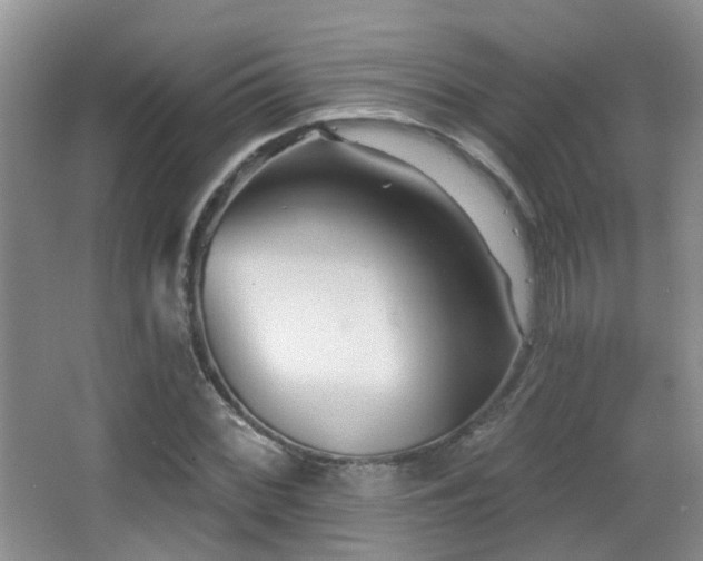 X0000066991068200603241310