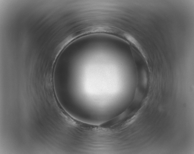 X0000066991089200603241310