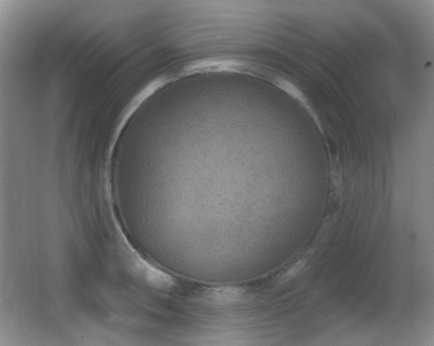 X0000066991090200603241310