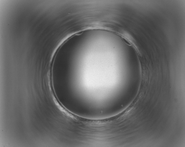 X0000066991100200603241310