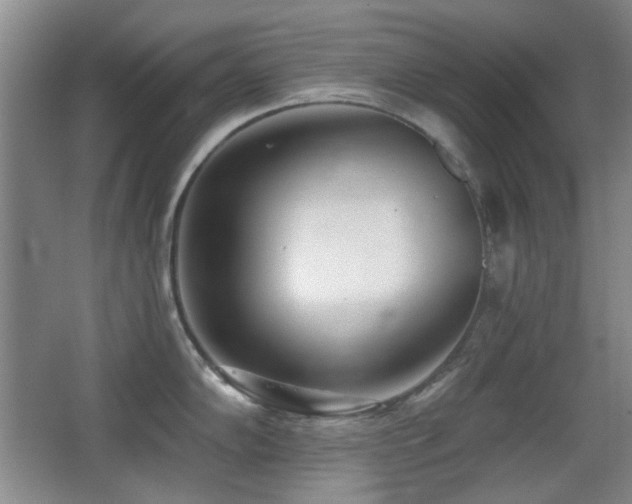 X0000066991102200603241309