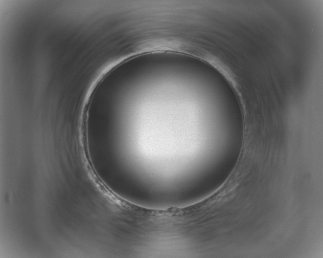 X0000066991104200603241309