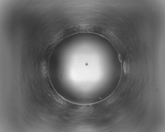 X0000066991107200603241309